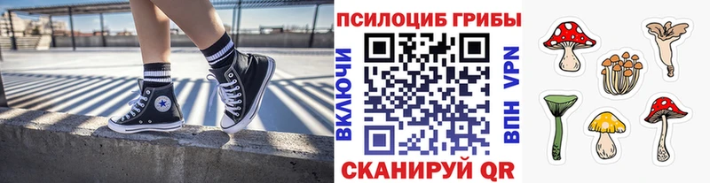 Псилоцибиновые грибы прущие грибы  Екатеринбург 
